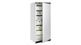 UF600 Storage Freezer W/Baskets – Professional Freezer Cabinet